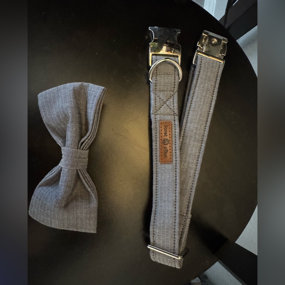 Dog collar, formal, bow tie, grey